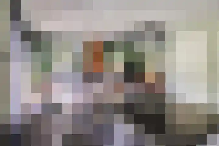 Hagenbroekweg 17 Ossenzijl thumbnail 11