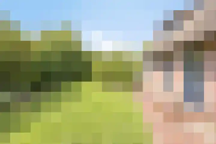 Hagenbroekweg 17 Ossenzijl thumbnail 28