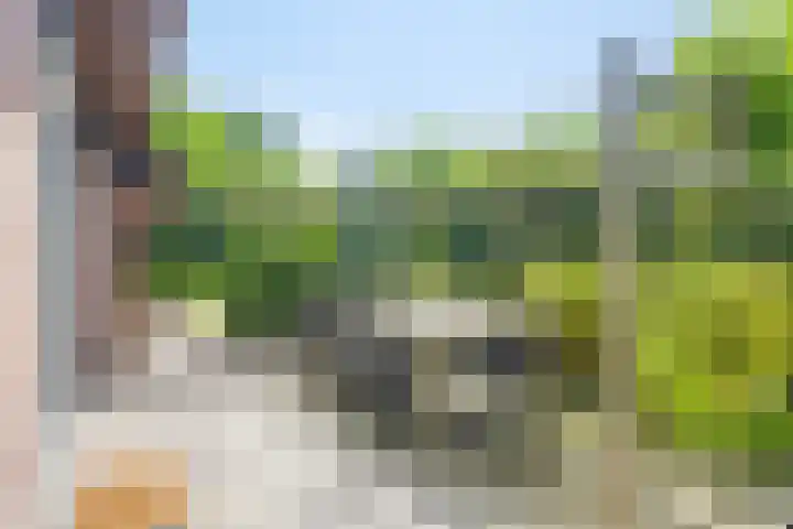 Hagenbroekweg 17 Ossenzijl thumbnail 29