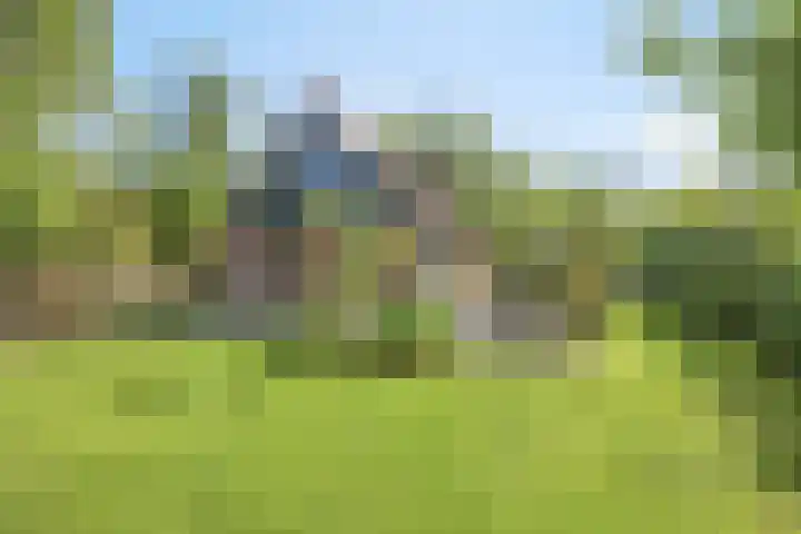 Hagenbroekweg 17 Ossenzijl thumbnail 30