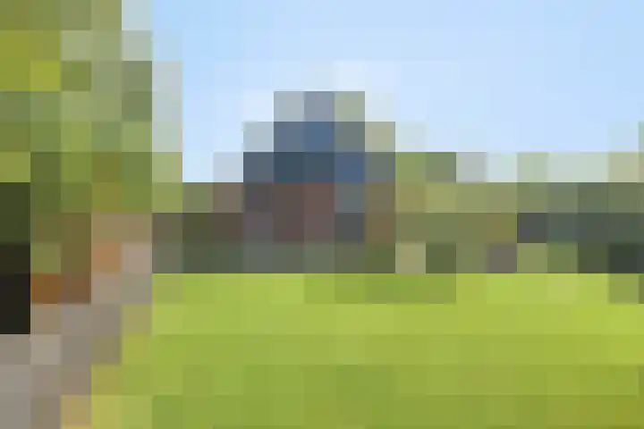 Hagenbroekweg 17 Ossenzijl thumbnail 31