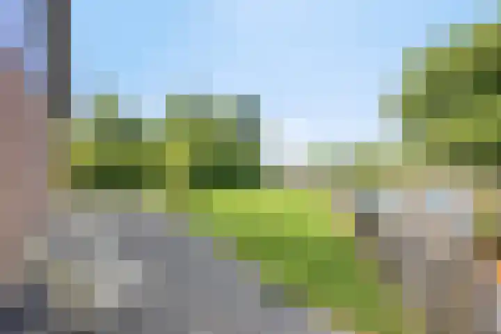 Hagenbroekweg 17 Ossenzijl thumbnail 33