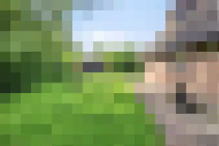 Hagenbroekweg 17 Ossenzijl thumbnail 37