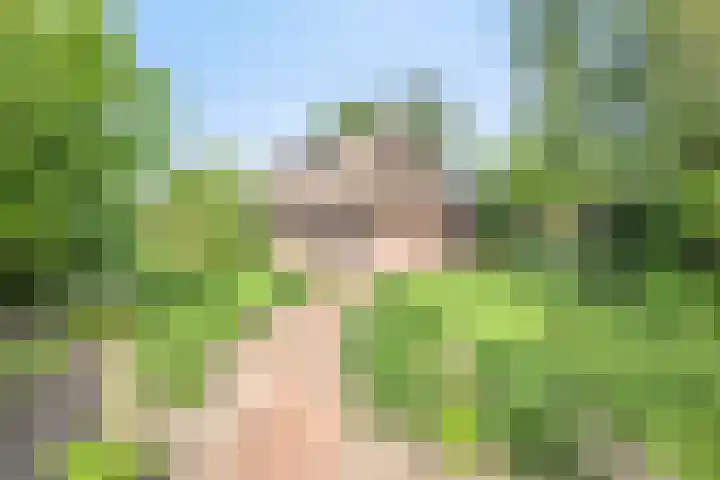 Hagenbroekweg 17 Ossenzijl thumbnail 38