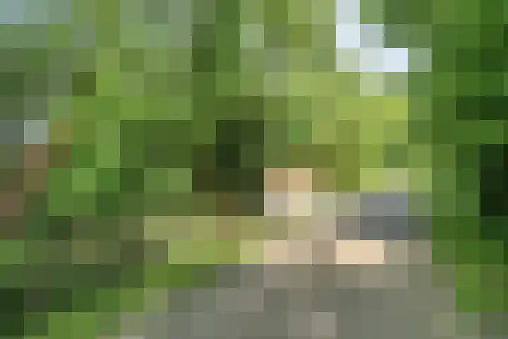 Hagenbroekweg 17 Ossenzijl thumbnail 40