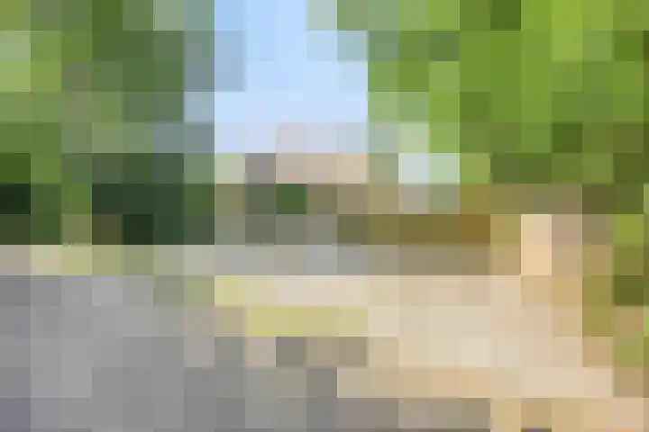 Hagenbroekweg 17 Ossenzijl thumbnail 41