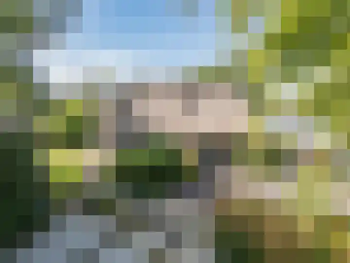 Hagenbroekweg 17 Ossenzijl thumbnail 42