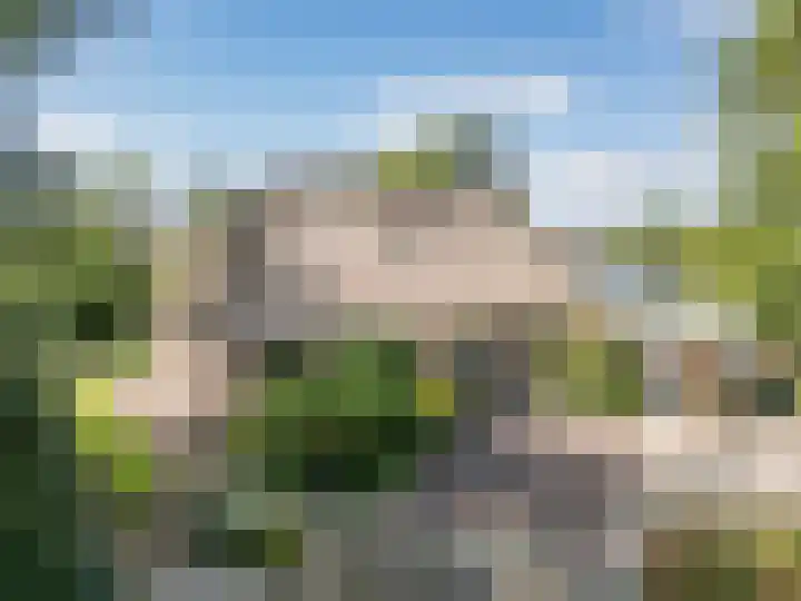 Hagenbroekweg 17 Ossenzijl thumbnail 43