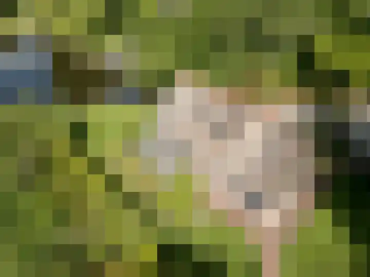 Hagenbroekweg 17 Ossenzijl thumbnail 44