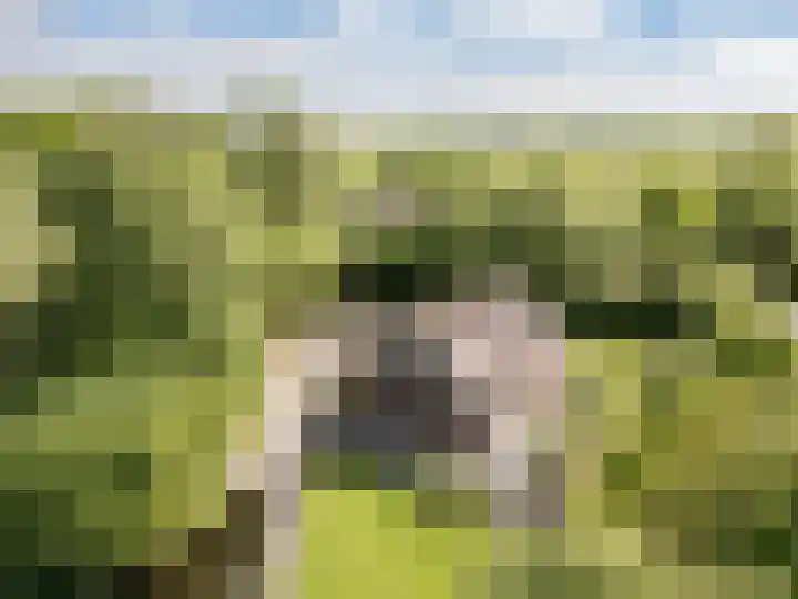 Hagenbroekweg 17 Ossenzijl thumbnail 45