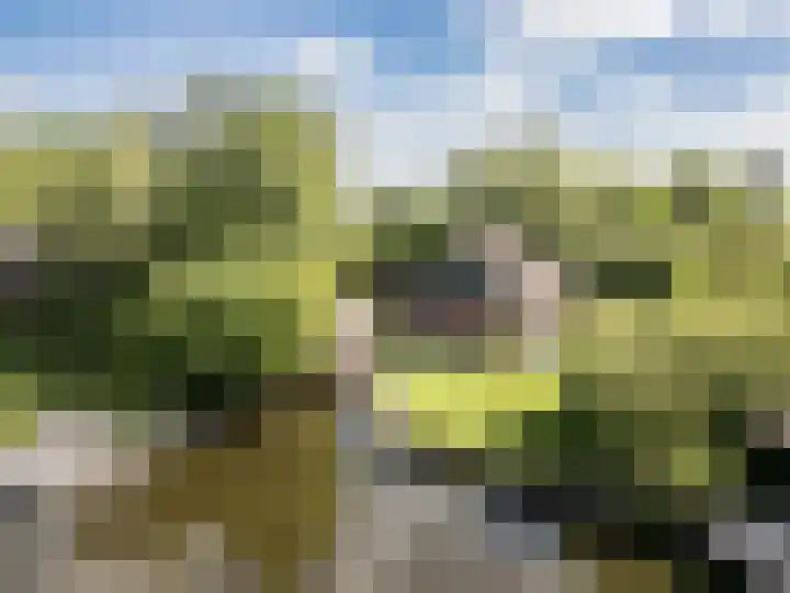 Hagenbroekweg 17 Ossenzijl thumbnail 46