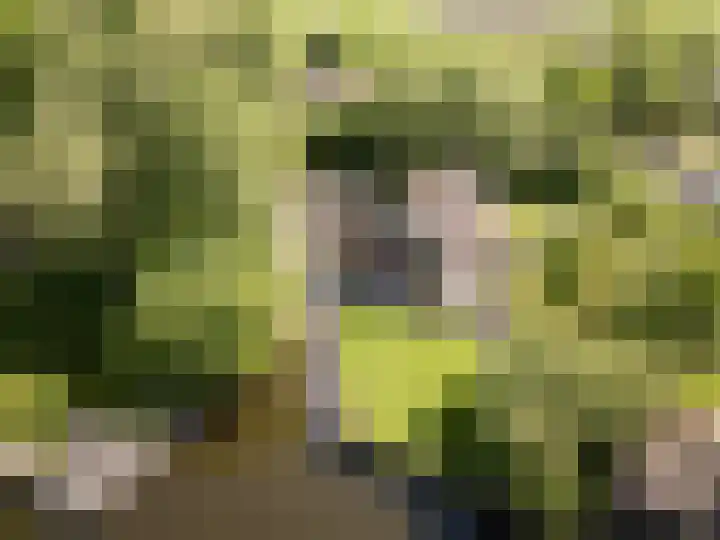 Hagenbroekweg 17 Ossenzijl thumbnail 47
