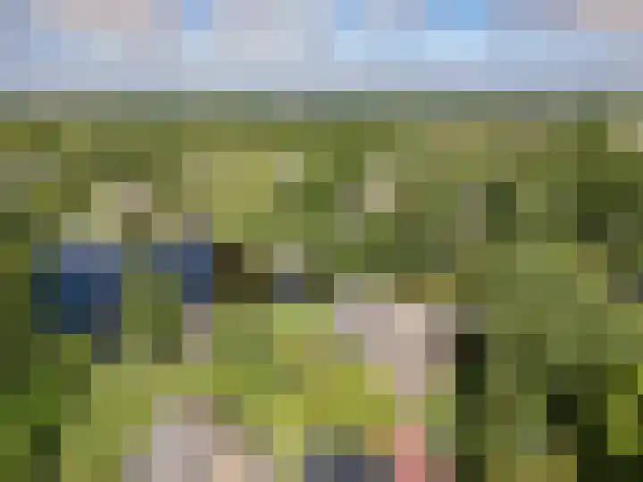 Hagenbroekweg 17 Ossenzijl thumbnail 48