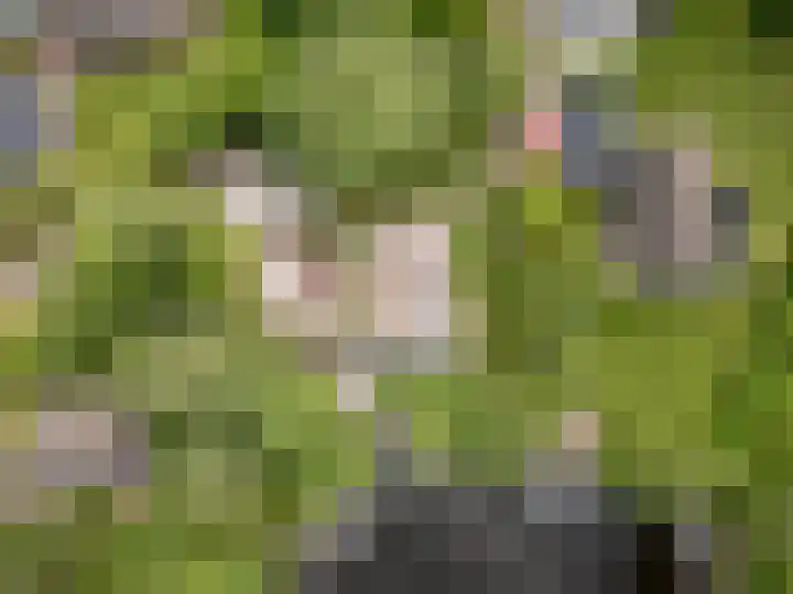 Hagenbroekweg 17 Ossenzijl thumbnail 51