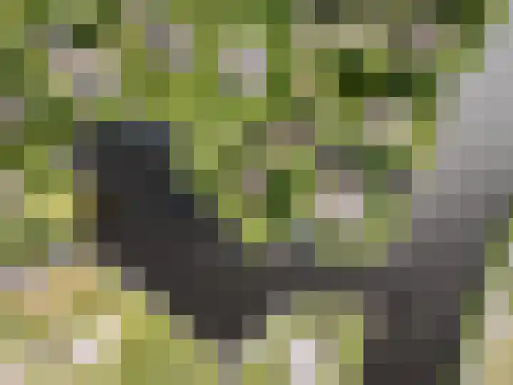 Hagenbroekweg 17 Ossenzijl thumbnail 52