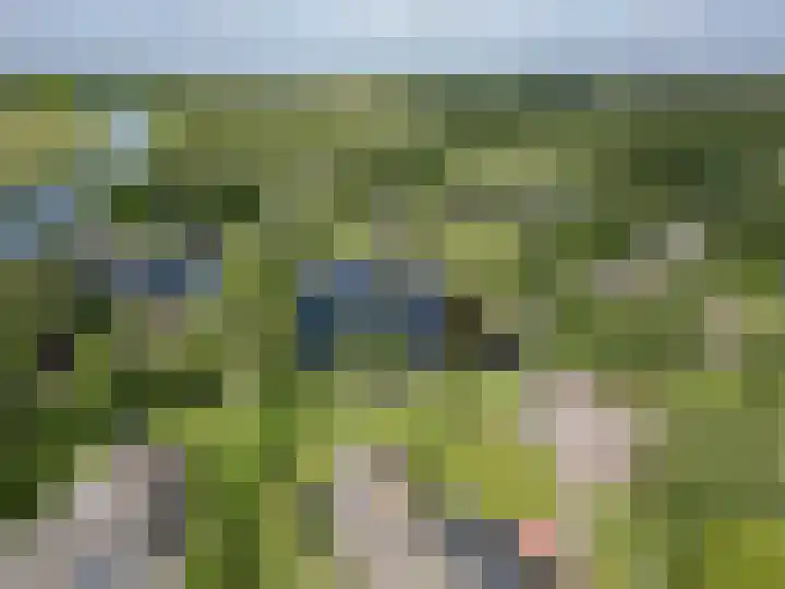 Hagenbroekweg 17 Ossenzijl thumbnail 53