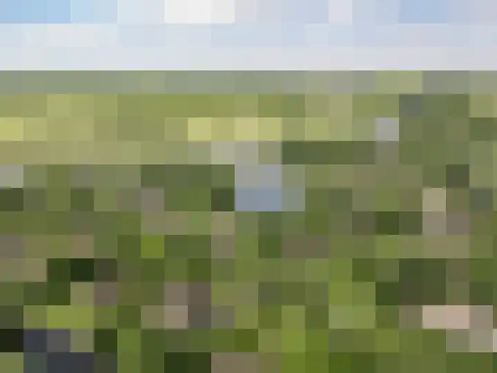 Hagenbroekweg 17 Ossenzijl thumbnail 54