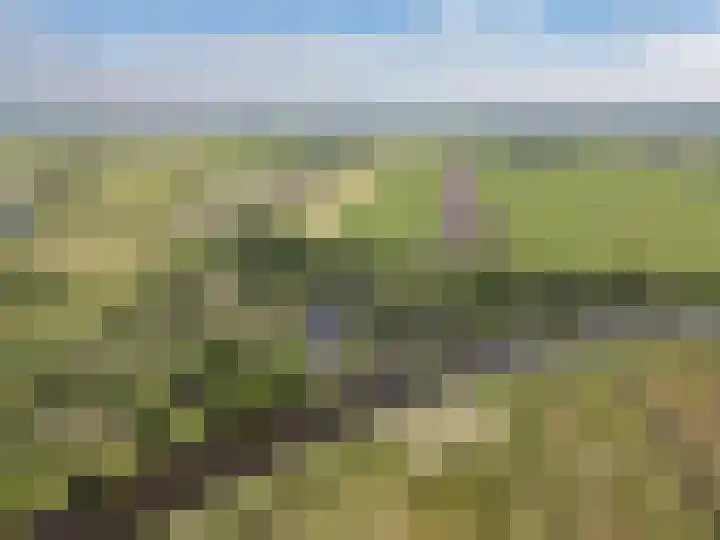 Hagenbroekweg 17 Ossenzijl thumbnail 55