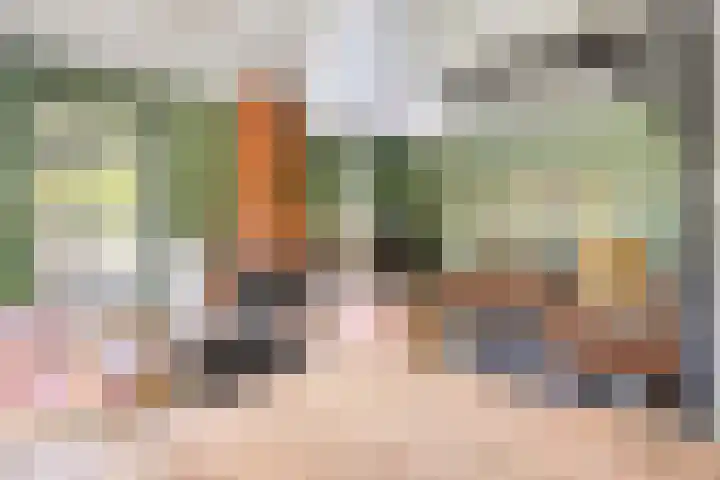 Hagenbroekweg 17 Ossenzijl thumbnail 7