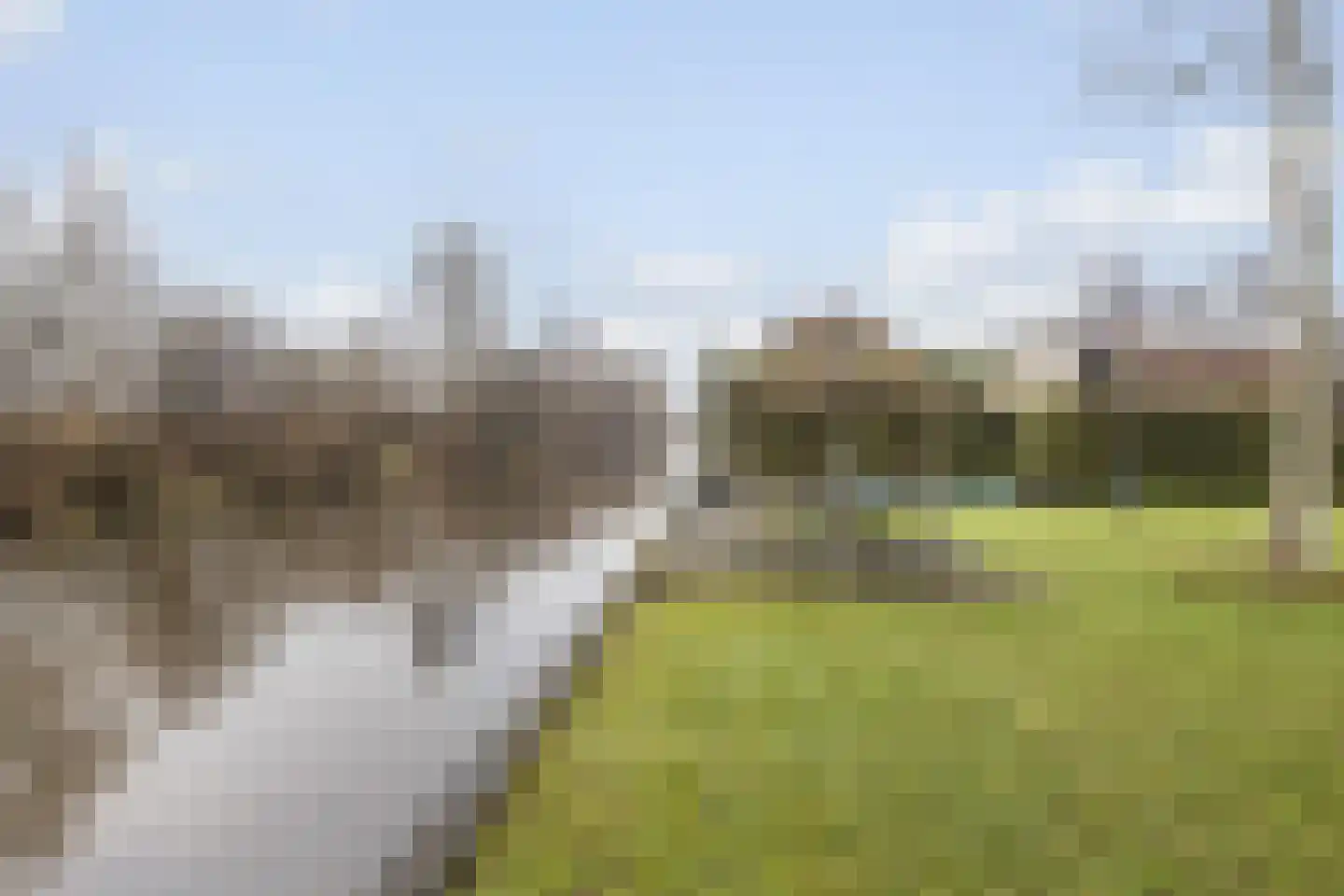 Hagenbroekweg 32 Ossenzijl foto 3