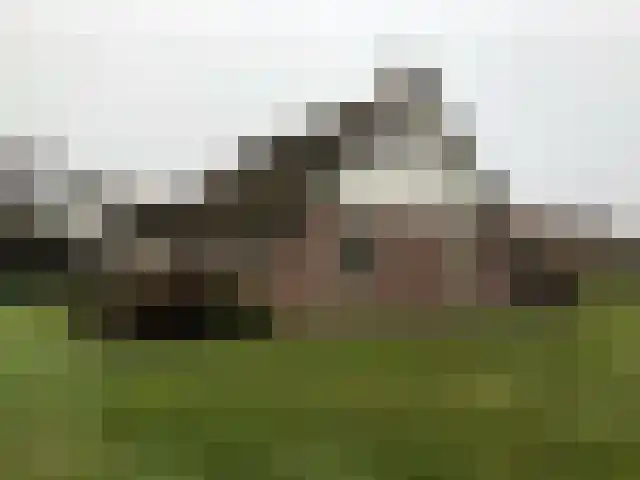 Hagenbroekweg 32 Ossenzijl thumbnail 5