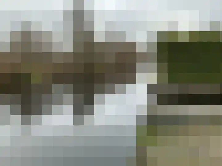 Hagenbroekweg 32 Ossenzijl thumbnail 6