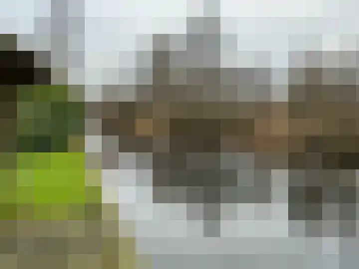 Hagenbroekweg 32 Ossenzijl thumbnail 8