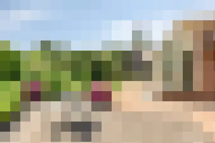 Hagenbroekweg 33 Ossenzijl thumbnail 30