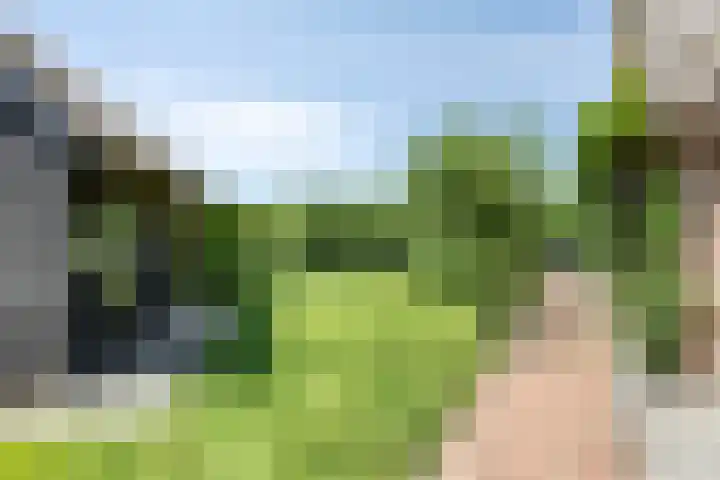 Hagenbroekweg 33 Ossenzijl thumbnail 32