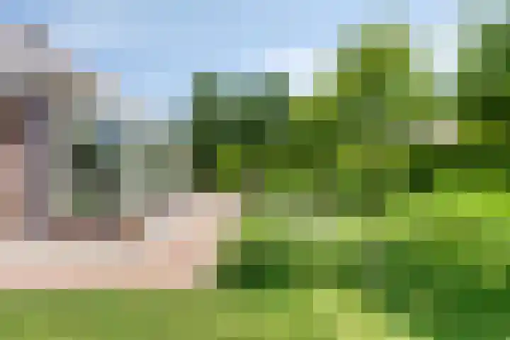 Hagenbroekweg 33 Ossenzijl thumbnail 33