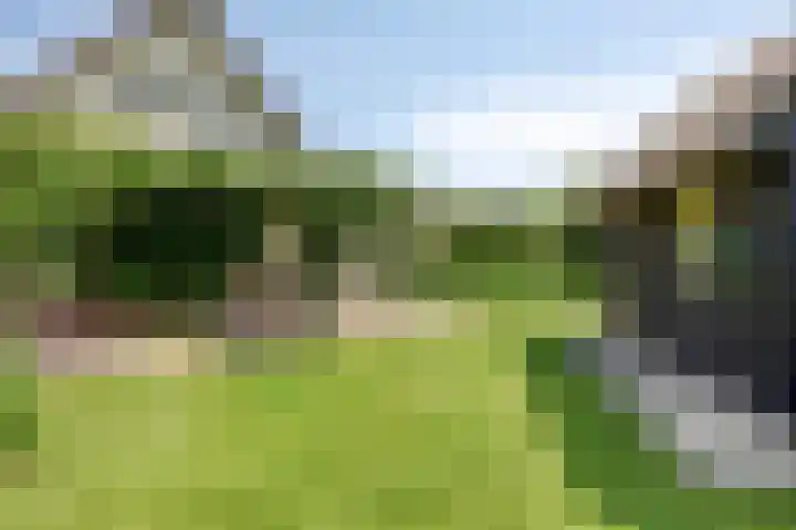 Hagenbroekweg 33 Ossenzijl thumbnail 34
