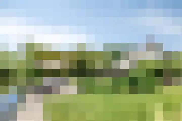 Hagenbroekweg 33 Ossenzijl thumbnail 37