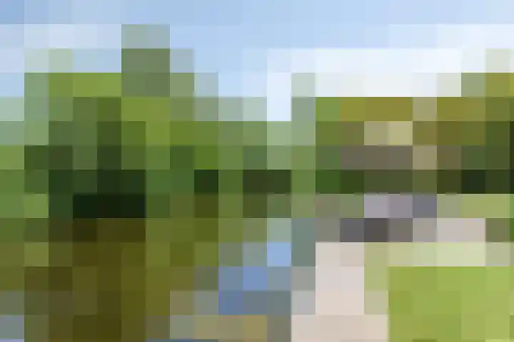 Hagenbroekweg 33 Ossenzijl thumbnail 38