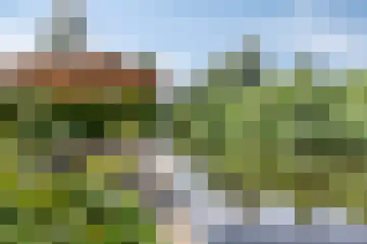 Hagenbroekweg 33 Ossenzijl thumbnail 40