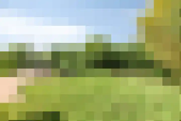 Hagenbroekweg 33 Ossenzijl thumbnail 42