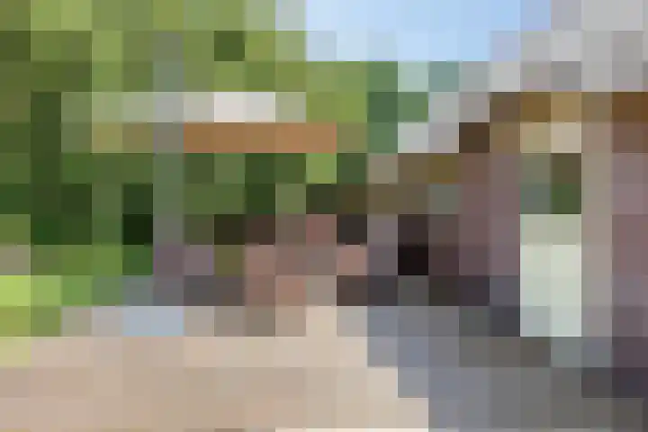 Hagenbroekweg 33 Ossenzijl thumbnail 43