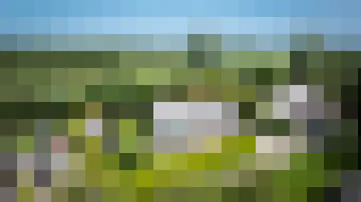 Hagenbroekweg 33 Ossenzijl thumbnail 46