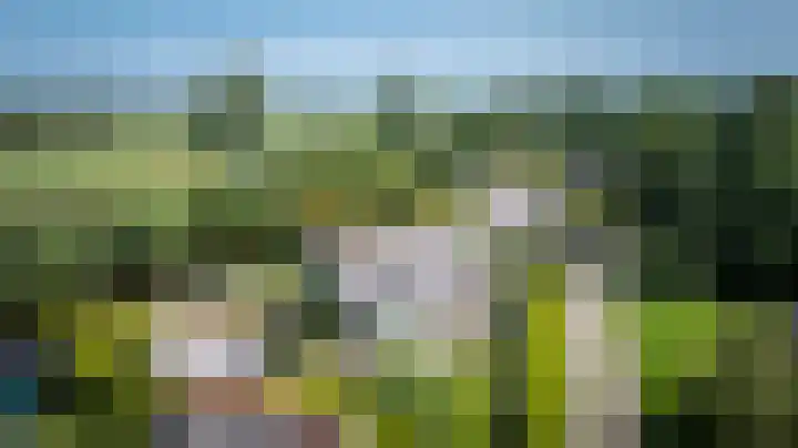 Hagenbroekweg 33 Ossenzijl thumbnail 47