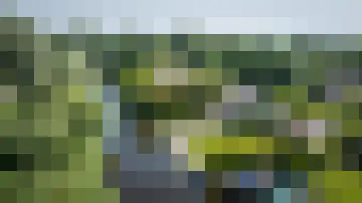 Hagenbroekweg 33 Ossenzijl thumbnail 49