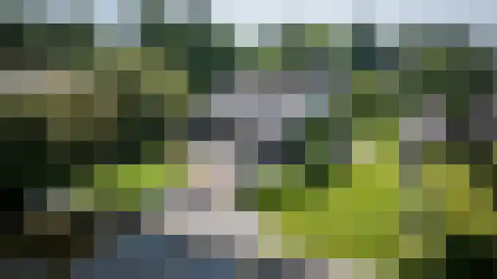 Hagenbroekweg 33 Ossenzijl thumbnail 50