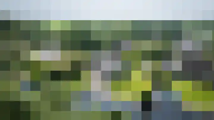 Hagenbroekweg 33 Ossenzijl thumbnail 52