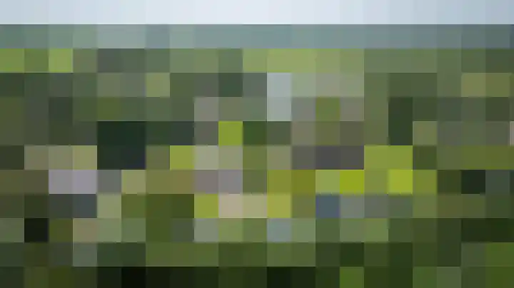 Hagenbroekweg 33 Ossenzijl thumbnail 55
