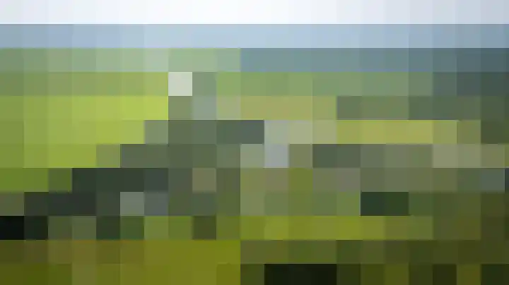 Hagenbroekweg 33 Ossenzijl thumbnail 59