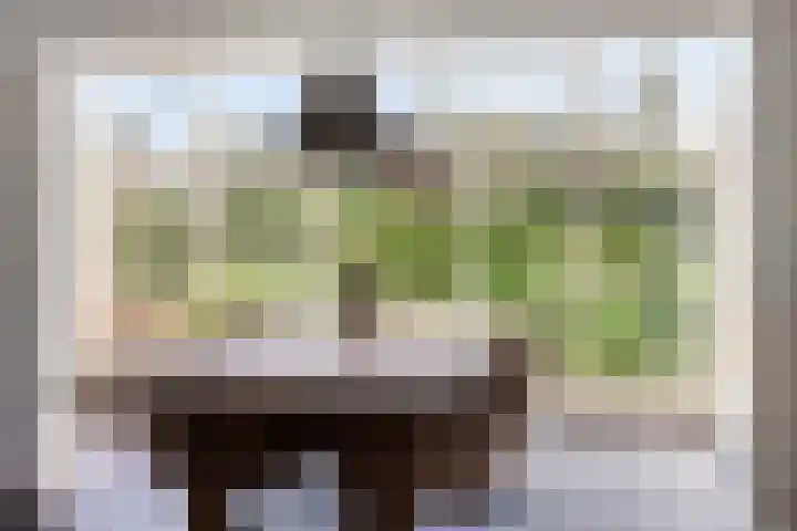 Hagenbroekweg 33 Ossenzijl thumbnail 7
