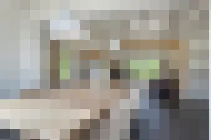 Hagenbroekweg 33 Ossenzijl thumbnail 9