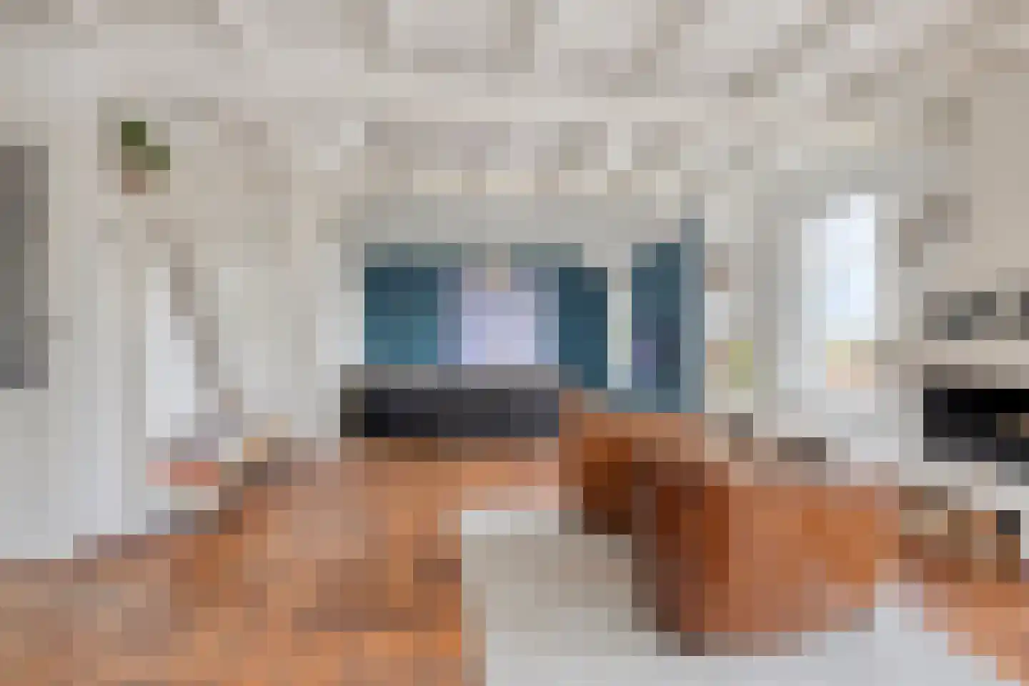 Hagenbroekweg 6 Ossenzijl thumbnail 4