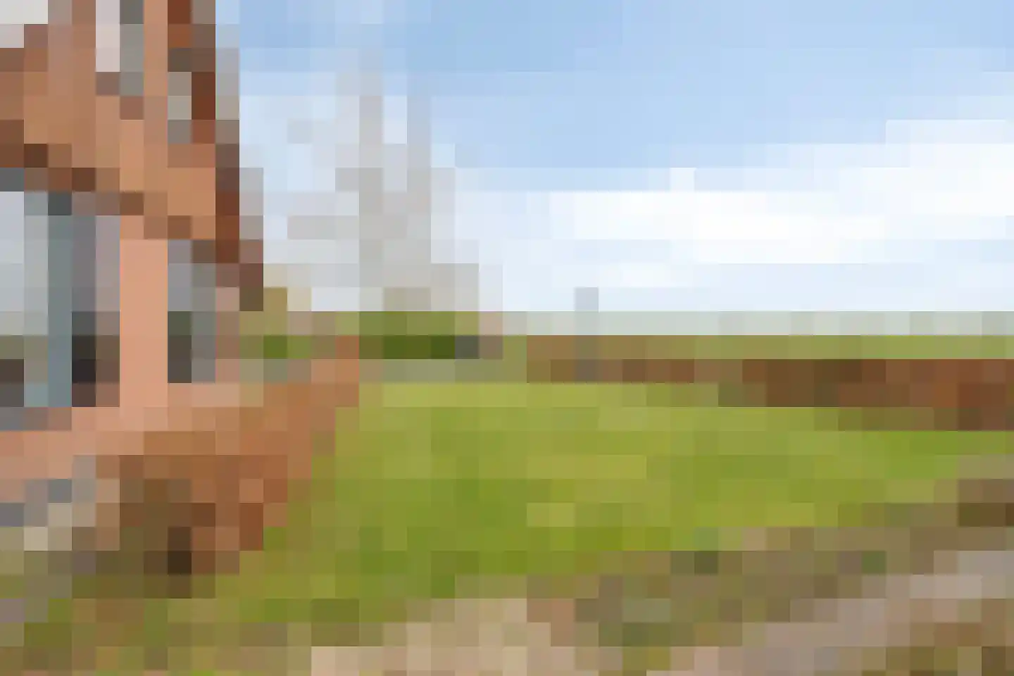 Hagenbroekweg 6 Ossenzijl thumbnail 41