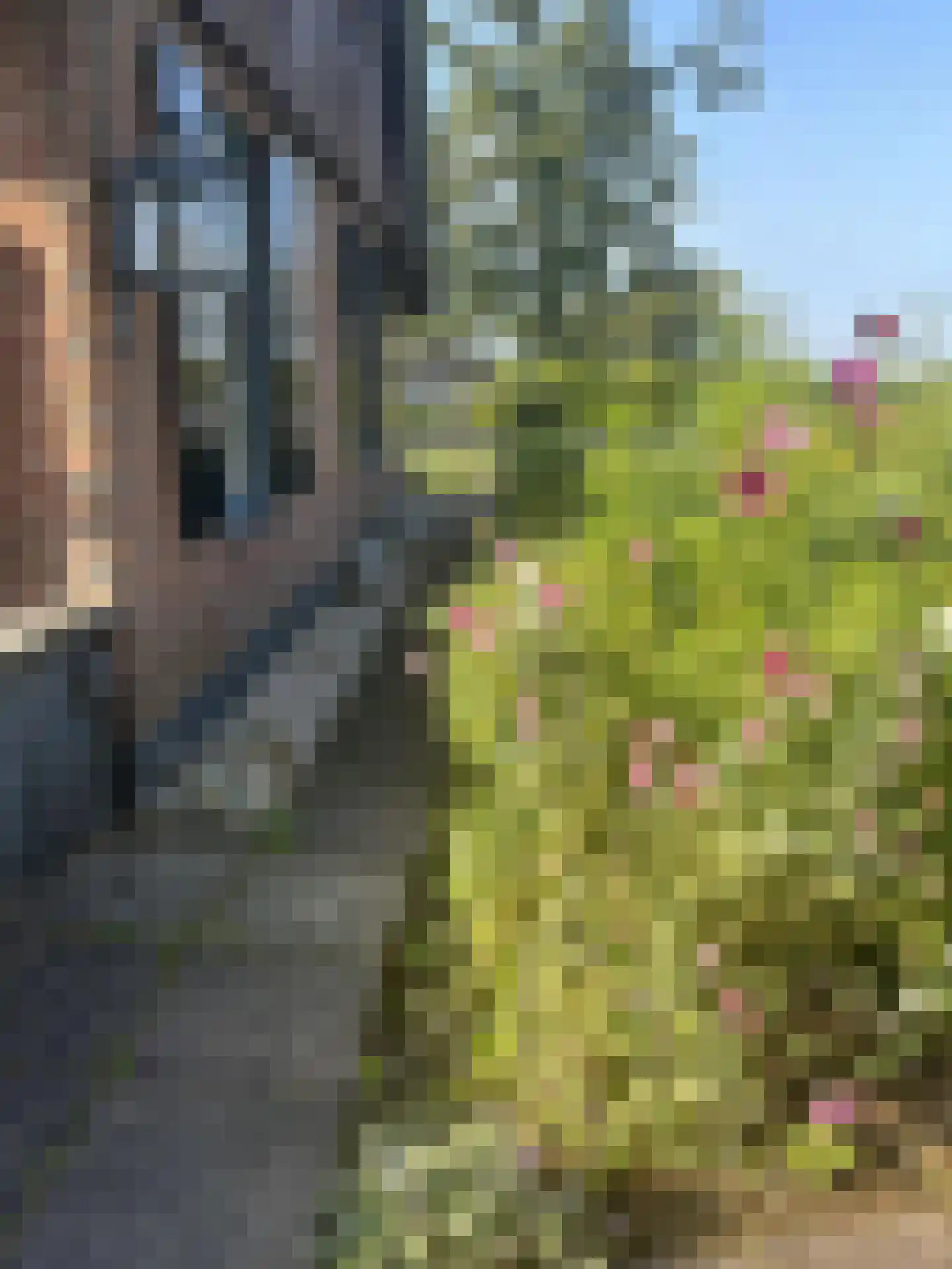 Hagenbroekweg 6 Ossenzijl thumbnail 42