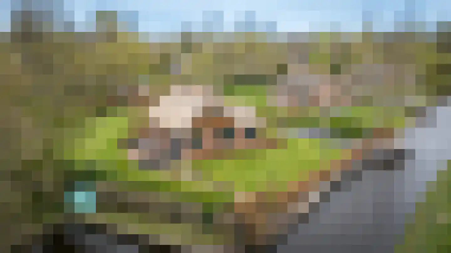 Hagenbroekweg 6 Ossenzijl thumbnail 60