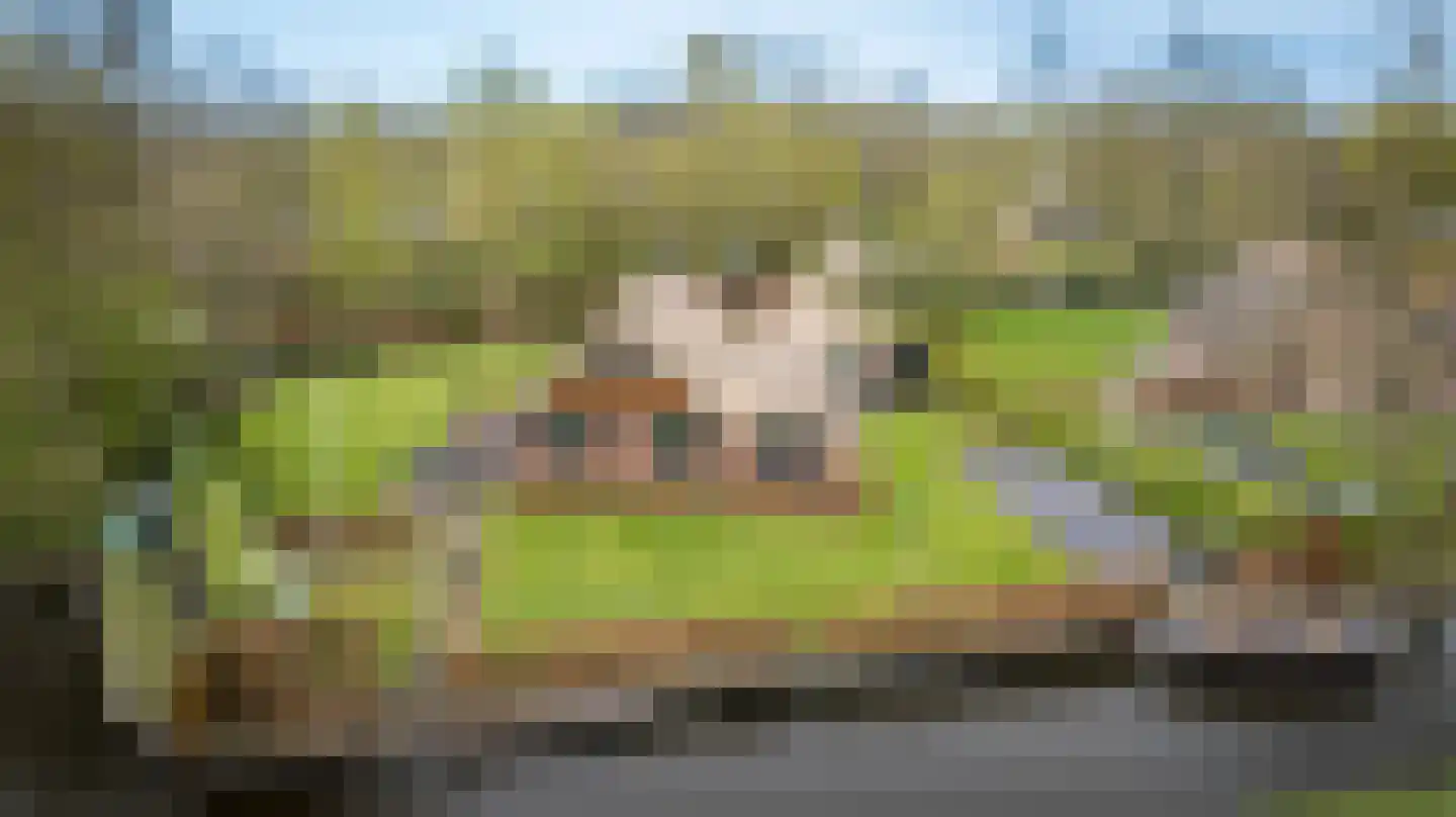 Hagenbroekweg 6 Ossenzijl thumbnail 61